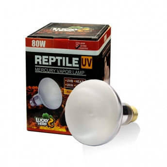 Reptile UVB Mercury Vapor Bulb 80W